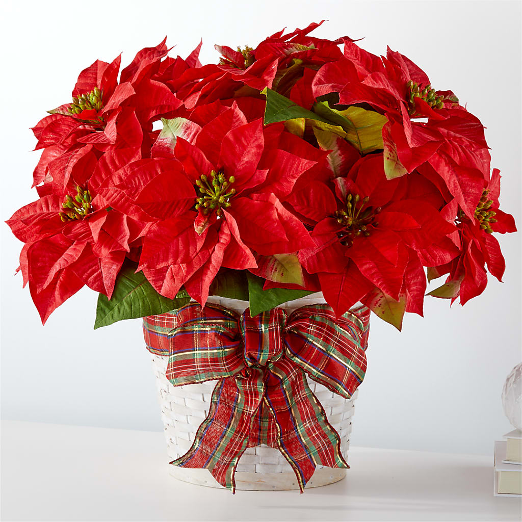 Happiest Holidays Poinsettia – SOBEY'S, Mississauga ON