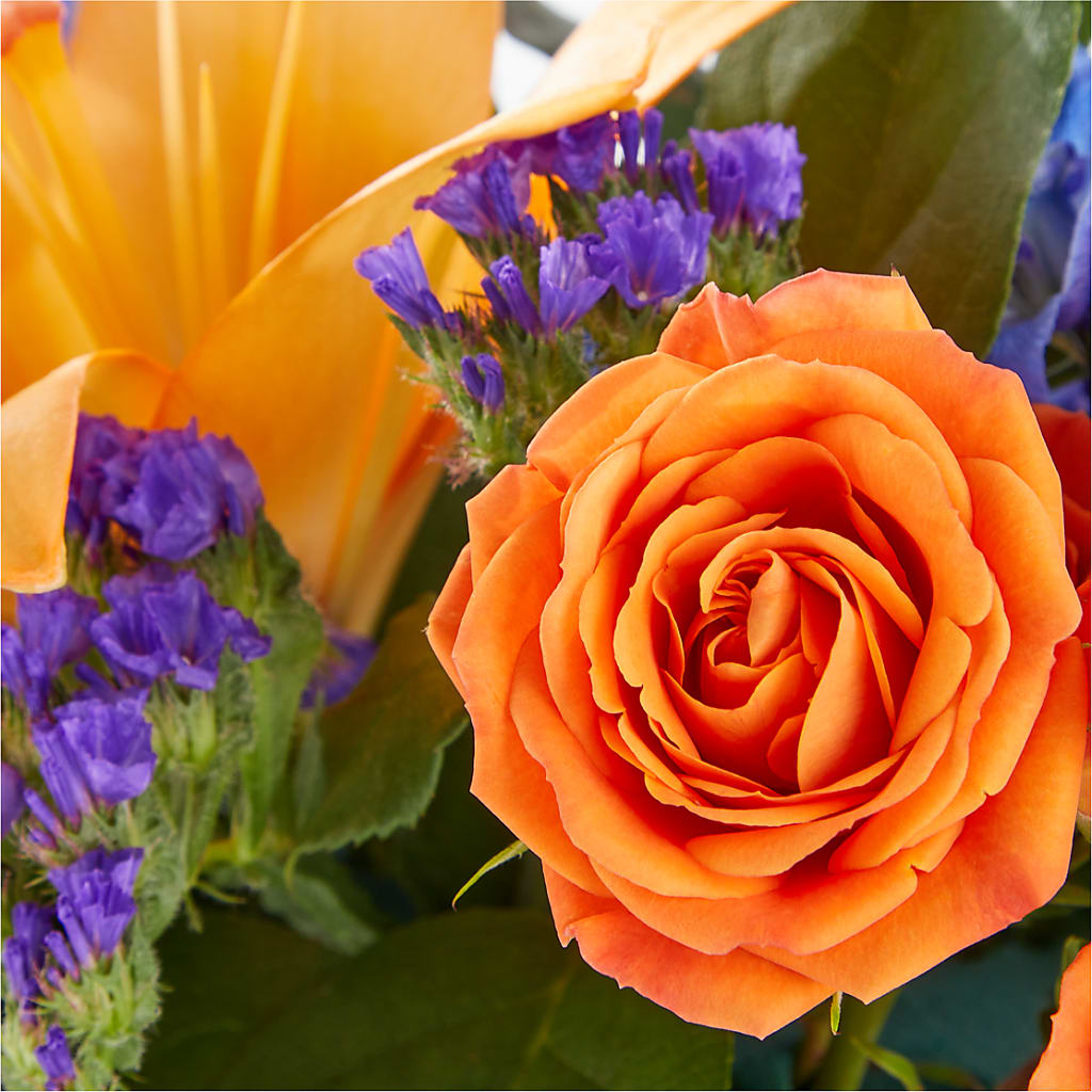 Radiant Citrus Box Bouquet – SOBEY'S, Mississauga ON