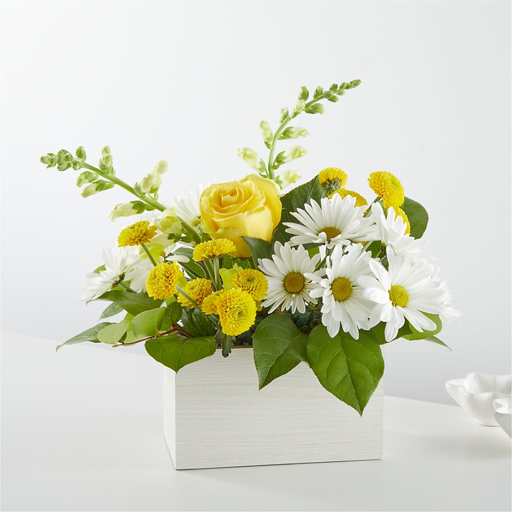 Sun Salutation Box Bouquet – SOBEY'S, Mississauga ON
