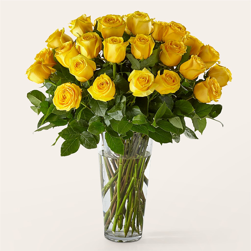Long Stem Yellow Rose Bouquet – SOBEY'S, Mississauga ON