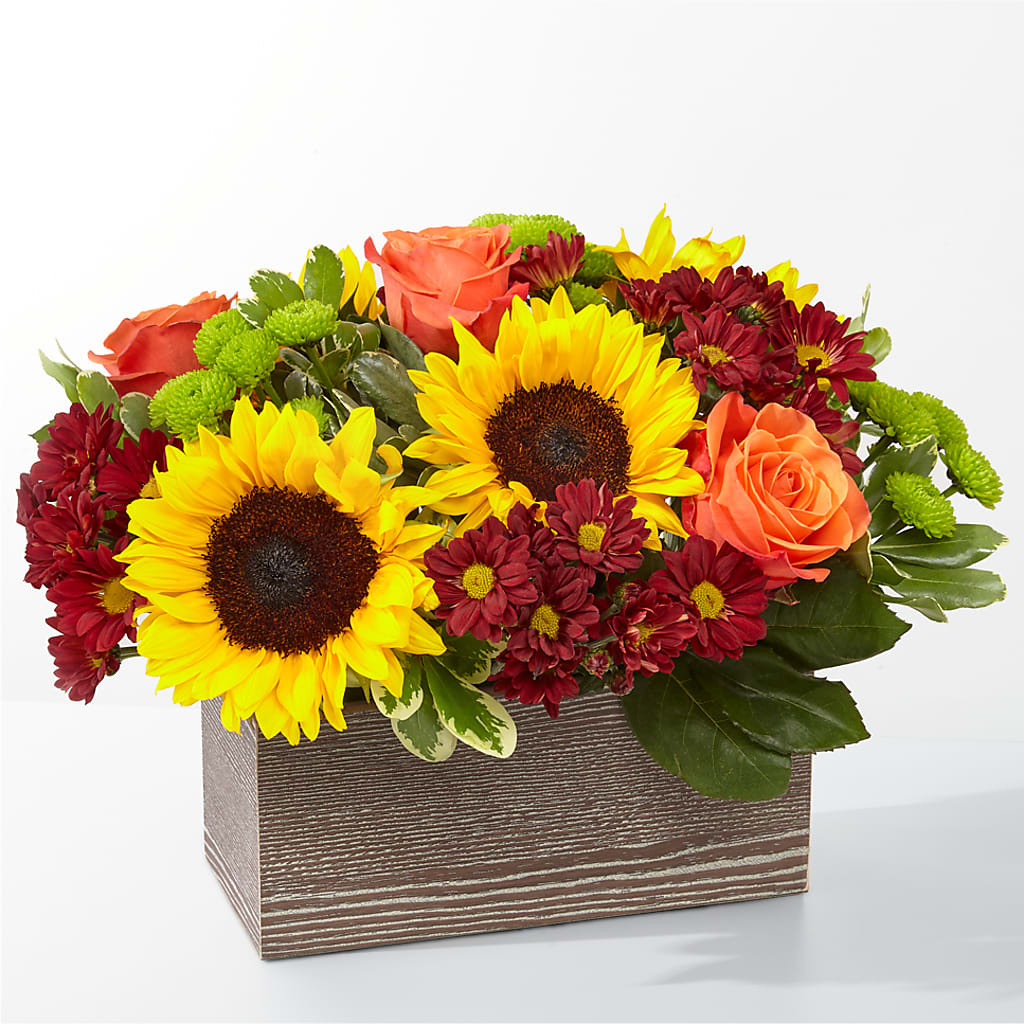 Happy Harvest Garden – SOBEY'S, Mississauga ON