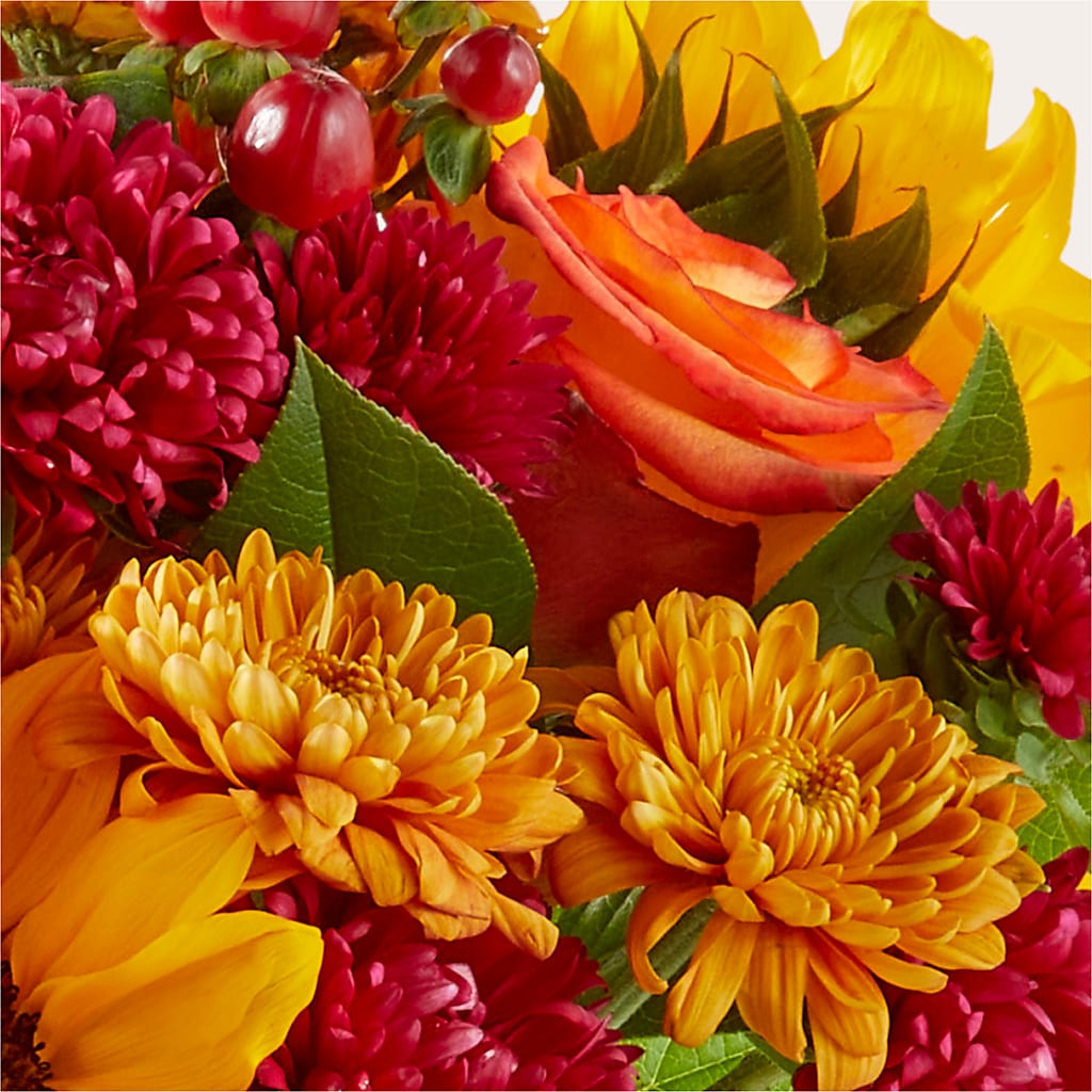 Sweater Season - A Florist Original – SOBEY'S, Mississauga ON