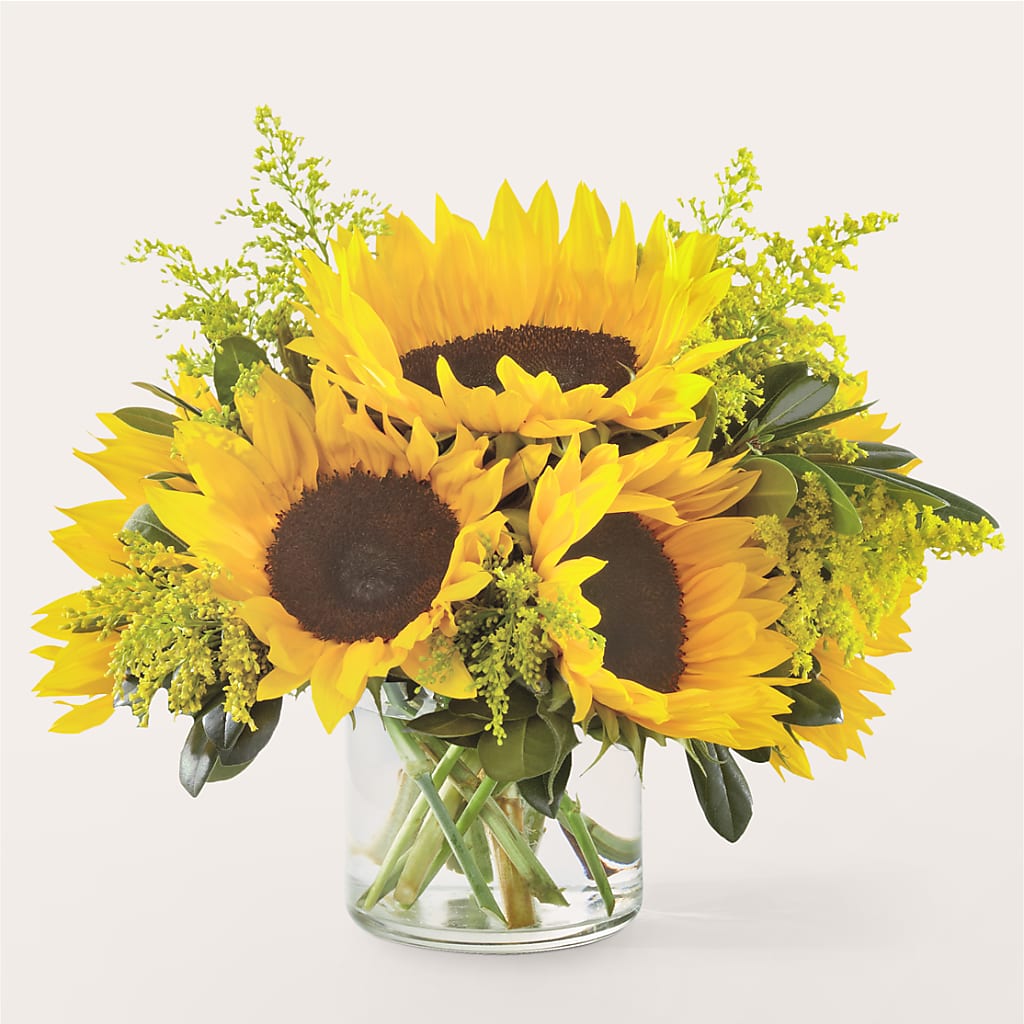 Beaming Sunflower Bouquet – SOBEY'S, Mississauga ON