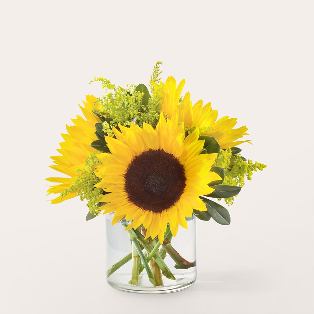 Beaming Sunflower Bouquet – SOBEY'S, Mississauga ON