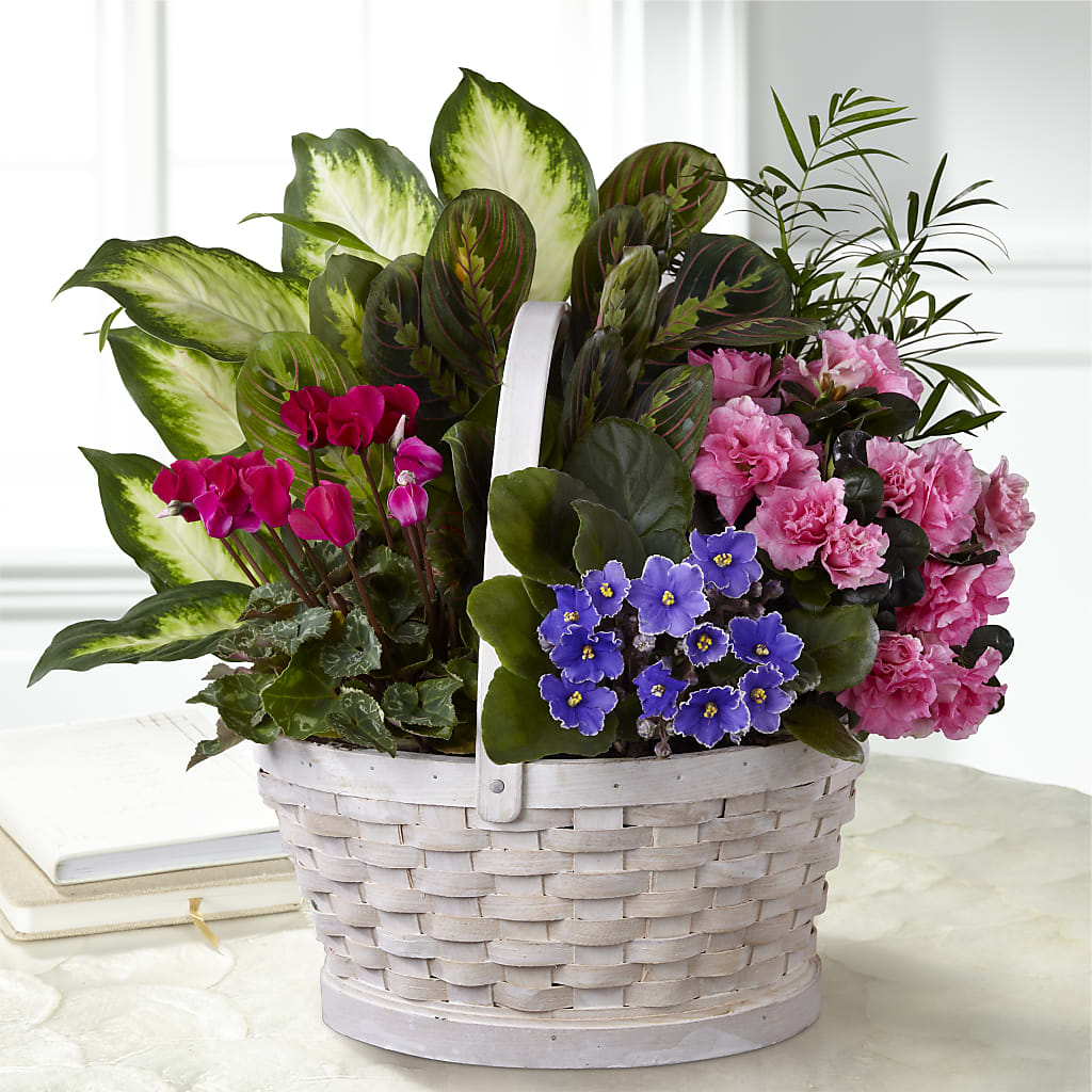 Peaceful Garden Planter – SOBEY'S, Mississauga ON