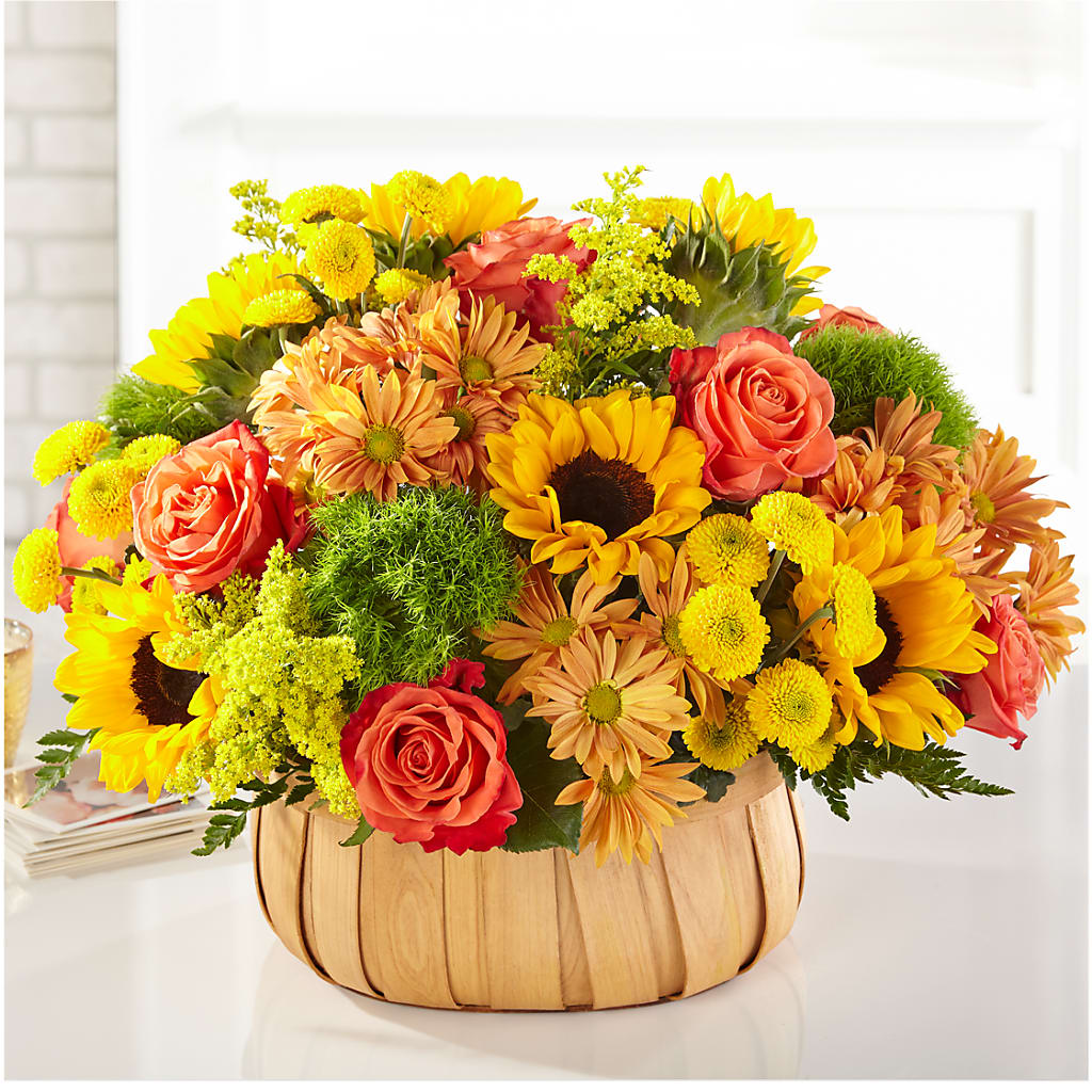 Harvest Sunflower Basket – SOBEY'S, Mississauga ON
