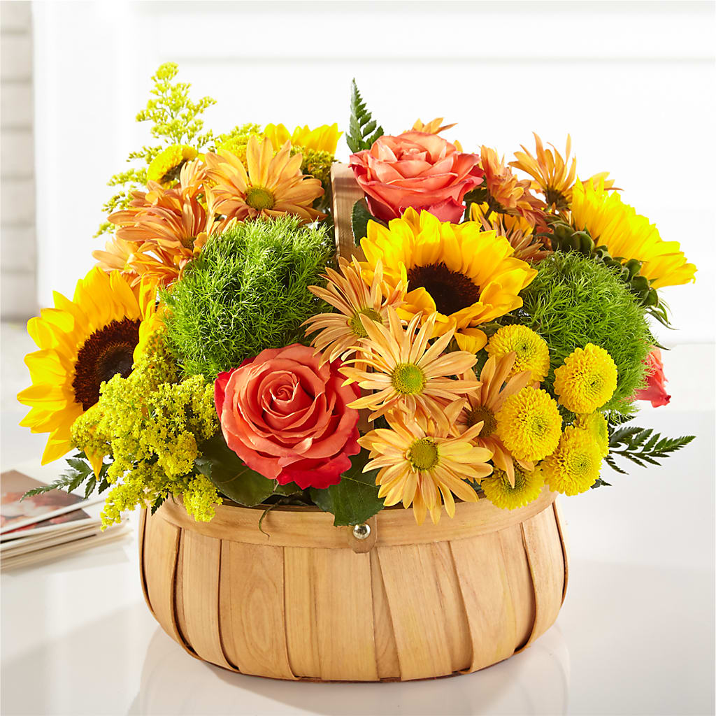 Harvest Sunflower Basket – SOBEY'S, Mississauga ON