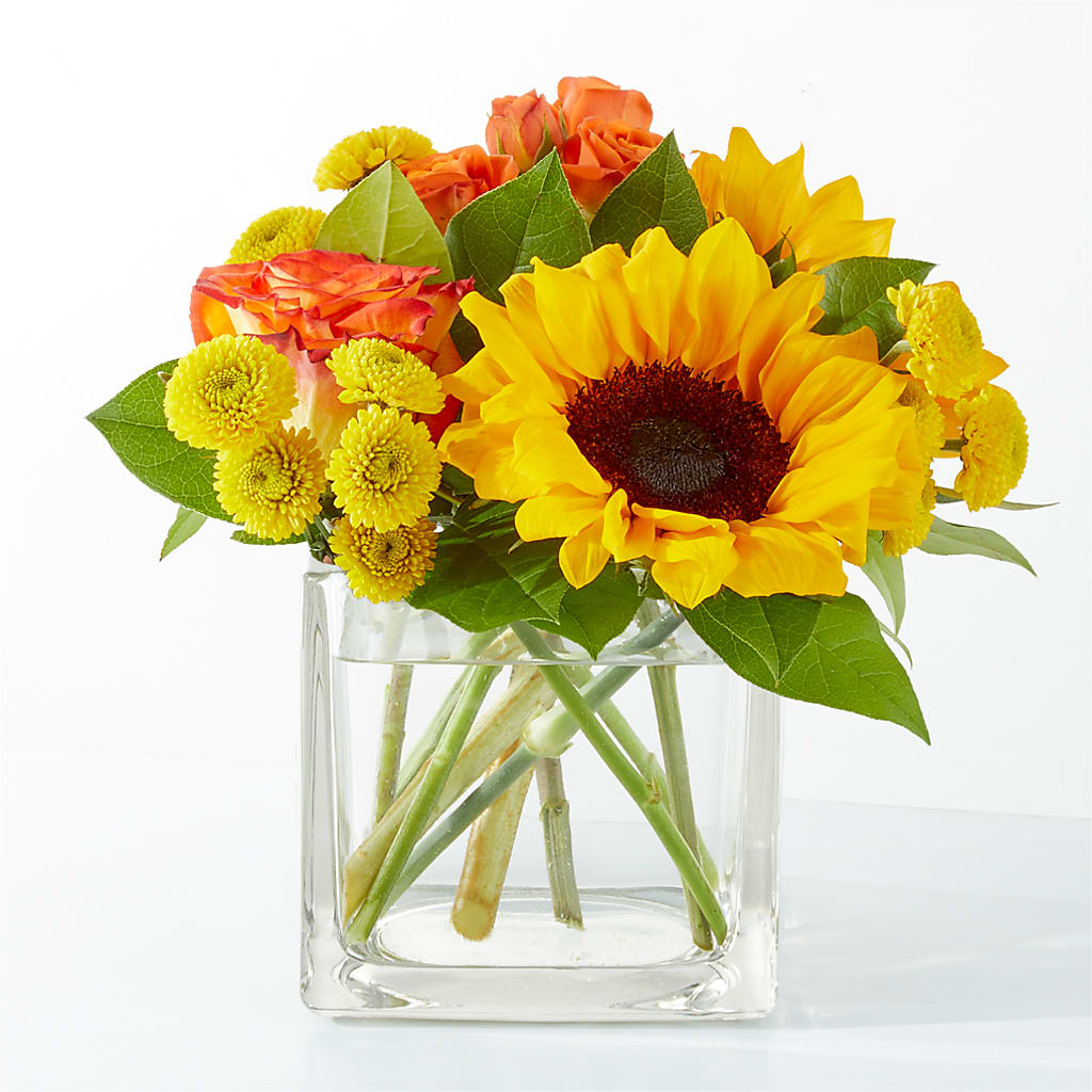 Picnic in the Park Bouquet – SOBEY'S, Mississauga ON