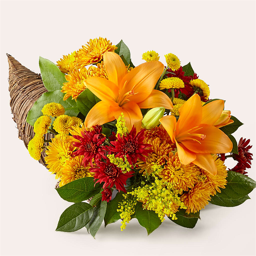 Feast of Color Cornucopia – SOBEY'S, Mississauga ON