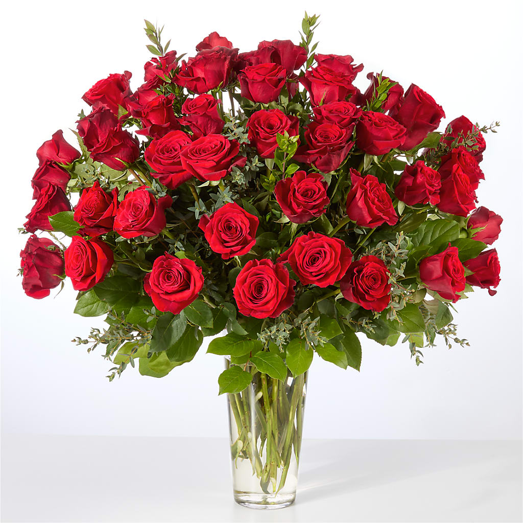 Forever Yours Fifty Stem Red Rose Bouquet – SOBEY'S, Mississauga ON