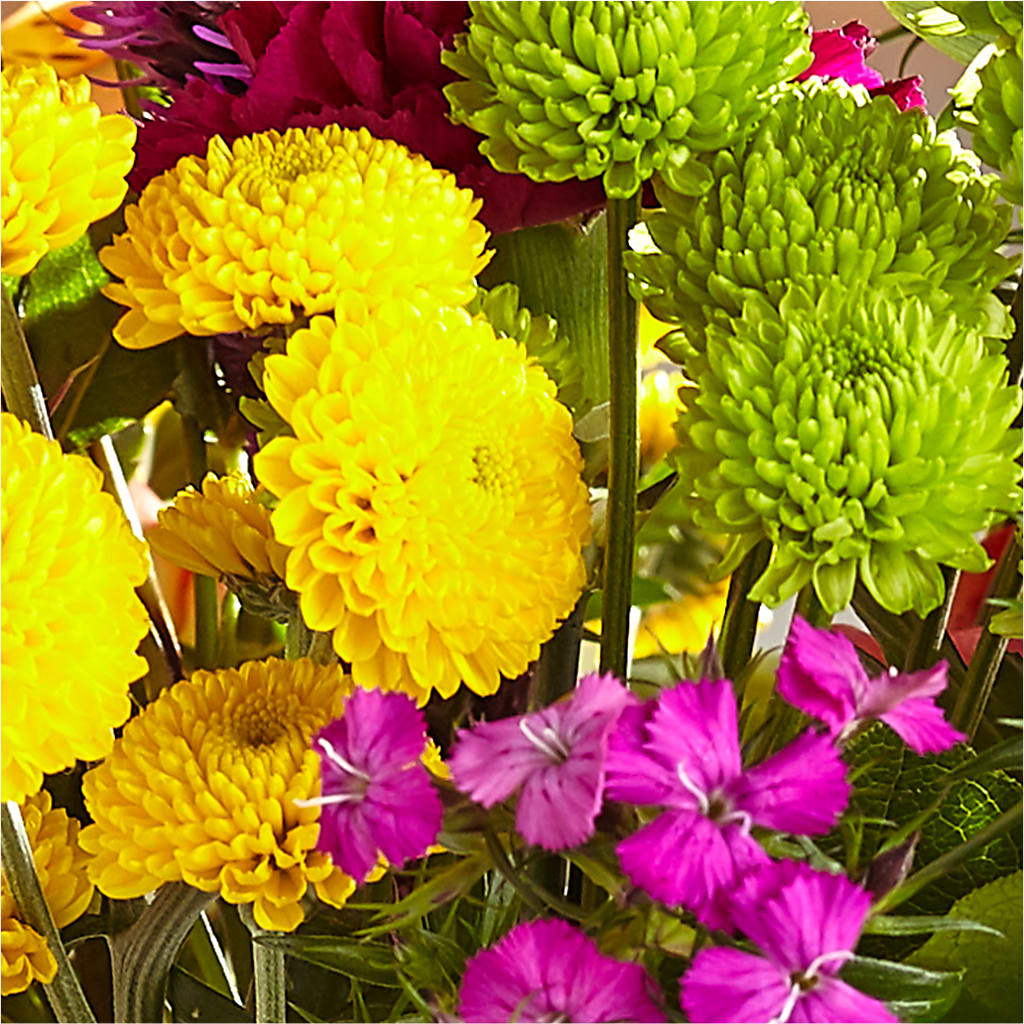Bold & Bright – A Florist Original – SOBEY'S, Mississauga ON
