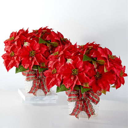 Happiest Holidays Poinsettia Bundle – SOBEY'S, Mississauga ON