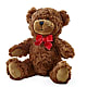 Adorable Plush Bear – SOBEY'S, Mississauga ON