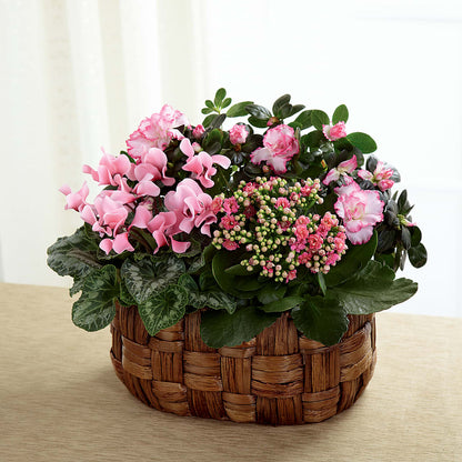 Pink Assortment – SOBEY'S, Mississauga ON