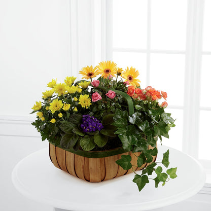 Gentle Blossoms Basket – SOBEY'S, Mississauga ON