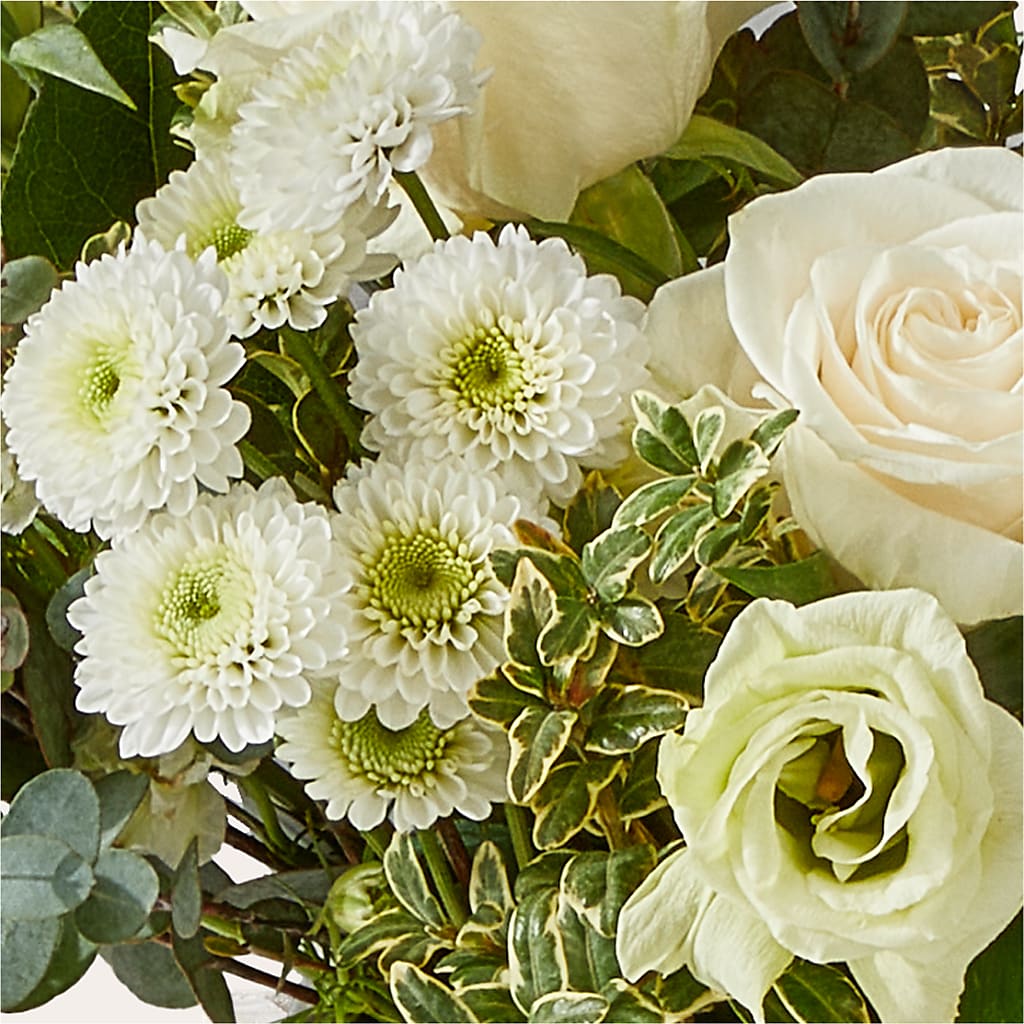 Cashmere Bouquet – SOBEY'S, Mississauga ON
