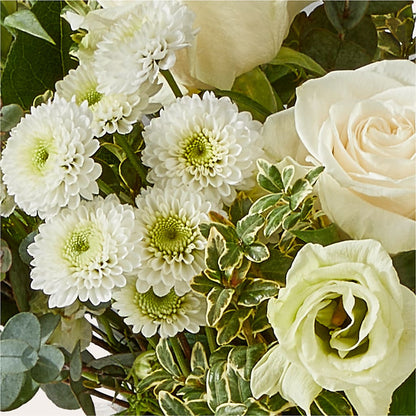 Cashmere Bouquet – SOBEY'S, Mississauga ON