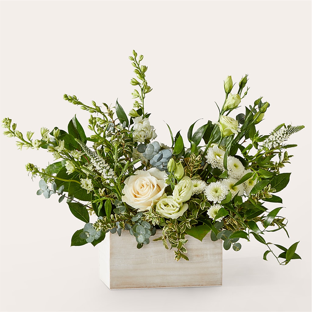Cashmere Bouquet – SOBEY'S, Mississauga ON