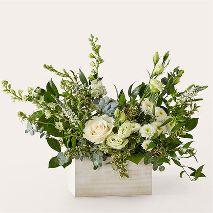 Cashmere Bouquet – SOBEY'S, Mississauga ON