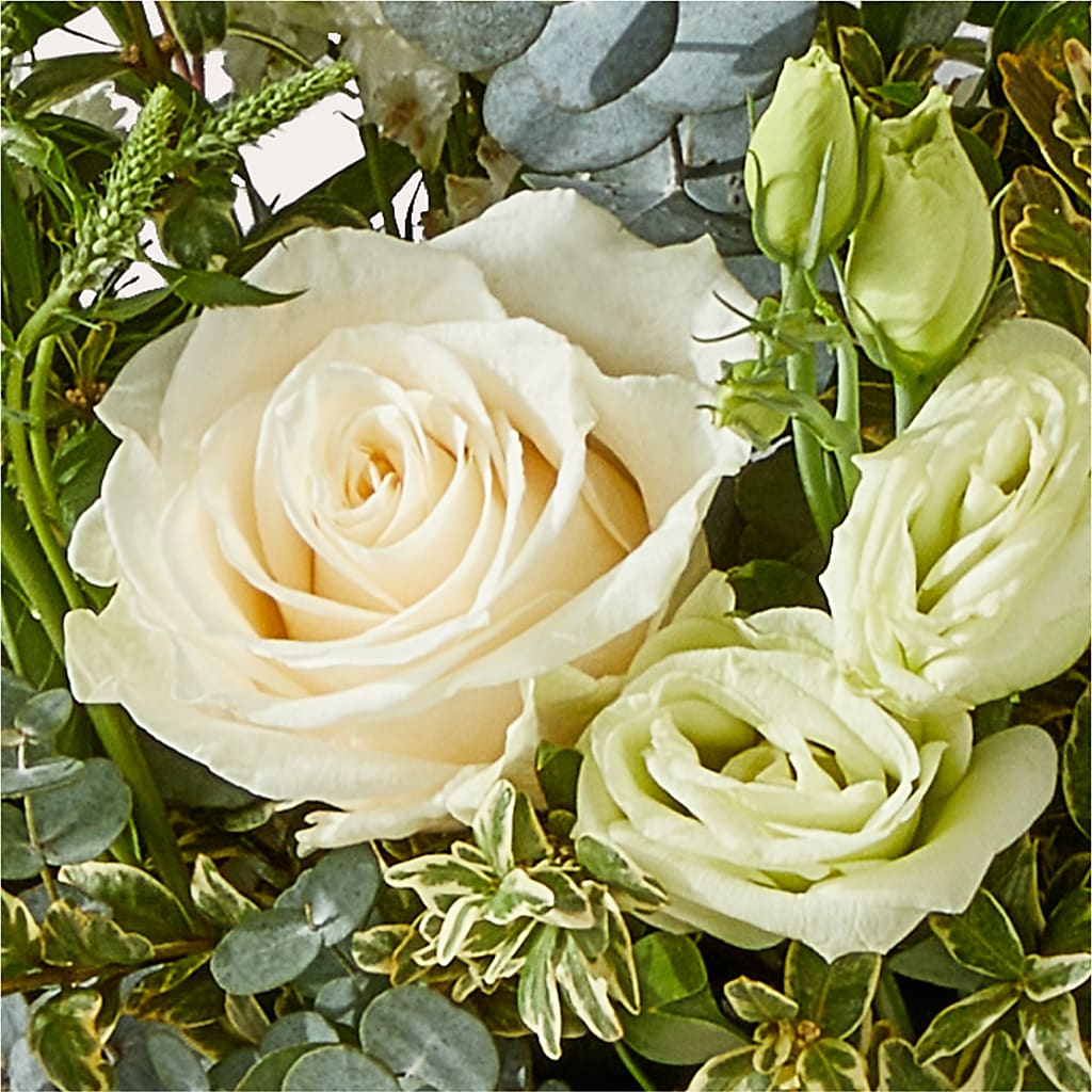 Cashmere Bouquet – SOBEY'S, Mississauga ON