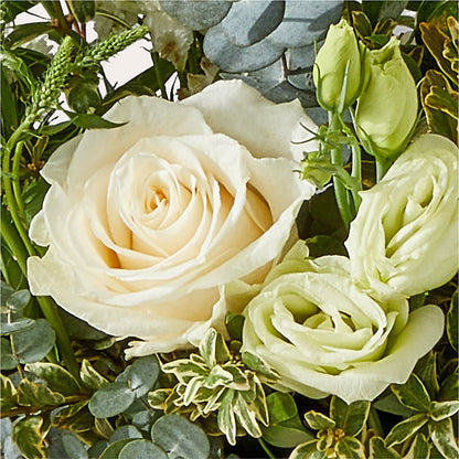 Cashmere Bouquet – SOBEY'S, Mississauga ON