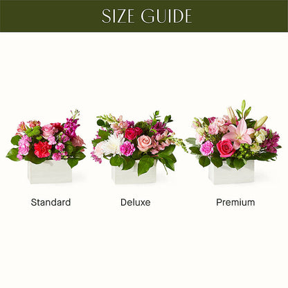 Sweetberry Box – A Florist Original – SOBEY'S, Mississauga ON