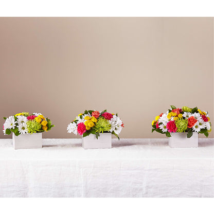 Sorbet Bouquet – SOBEY'S, Mississauga ON
