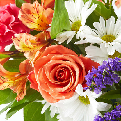 Oopsie Daisy Box Bouquet – SOBEY'S, Mississauga ON
