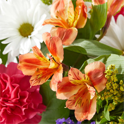 Oopsie Daisy Box Bouquet – SOBEY'S, Mississauga ON