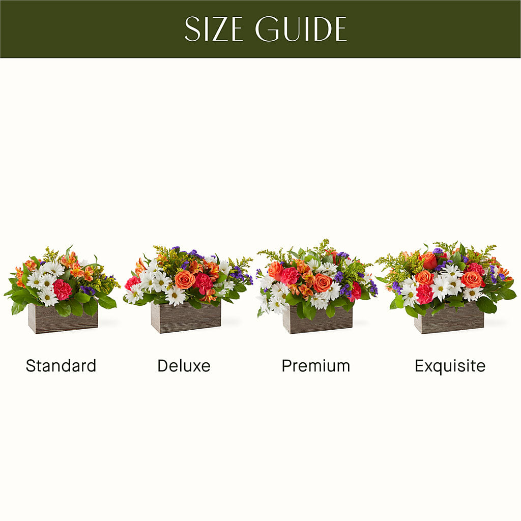 Oopsie Daisy Box Bouquet – SOBEY'S, Mississauga ON