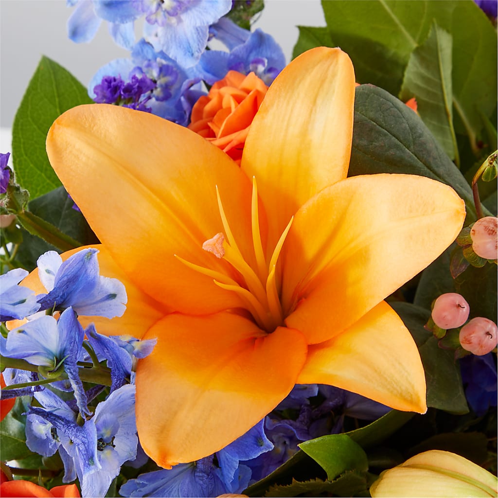 Radiant Citrus Box Bouquet – SOBEY'S, Mississauga ON