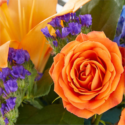 Radiant Citrus Box Bouquet – SOBEY'S, Mississauga ON