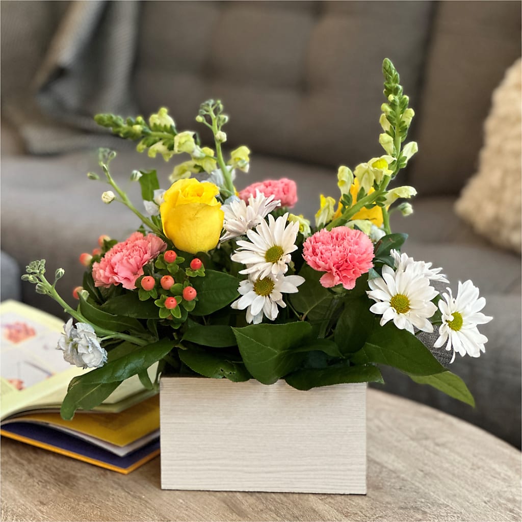 Sun Salutation Box Bouquet – SOBEY'S, Mississauga ON