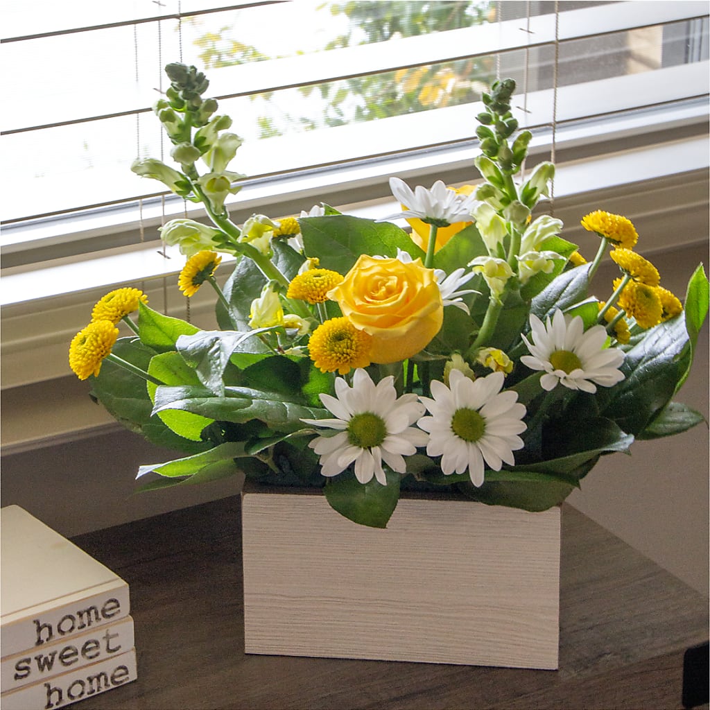 Sun Salutation Box Bouquet – SOBEY'S, Mississauga ON