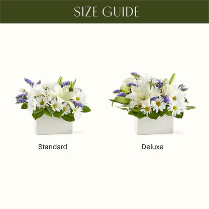 Beyond Blue Box Bouquet – SOBEY'S, Mississauga ON
