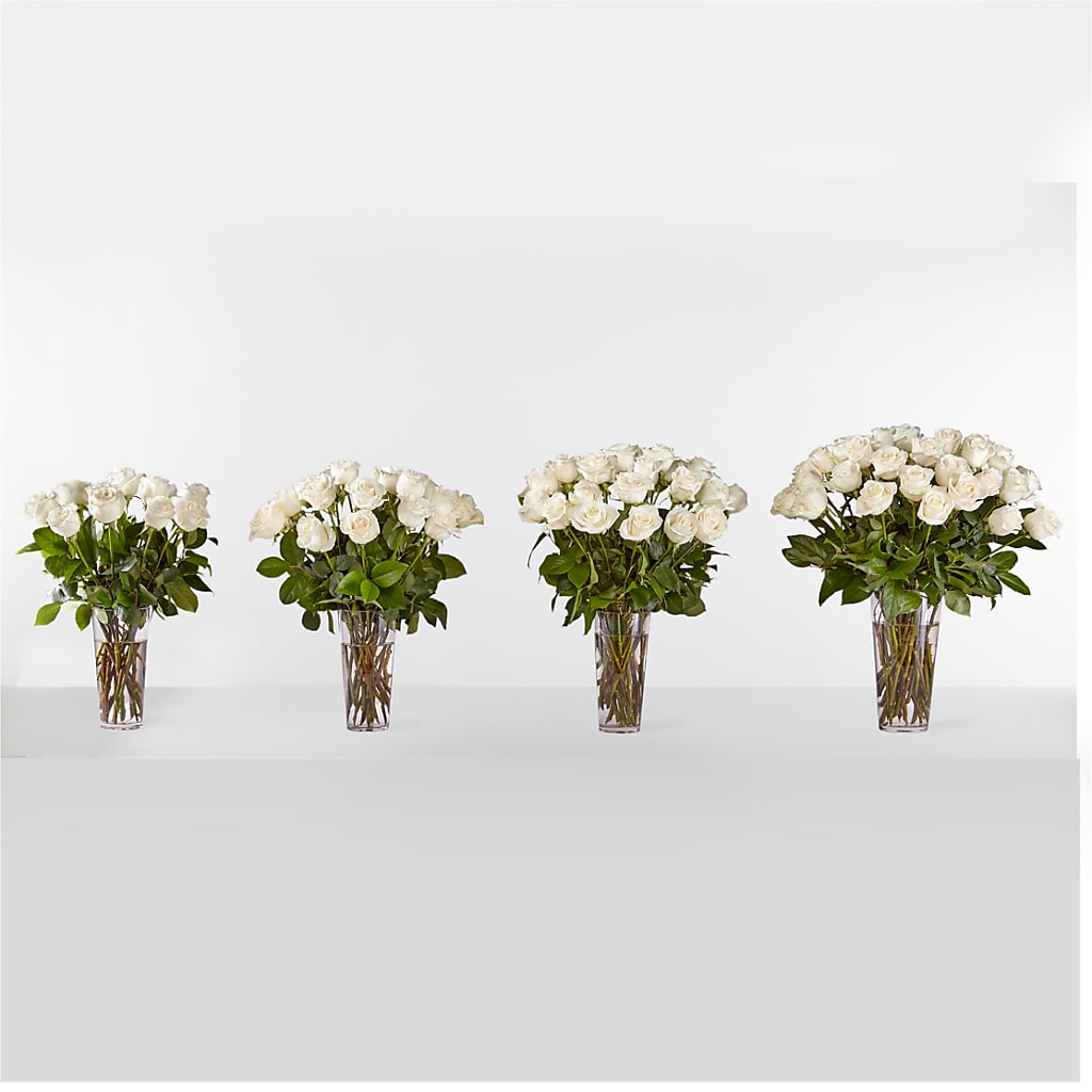 Long Stem White Rose Bouquet – SOBEY'S, Mississauga ON