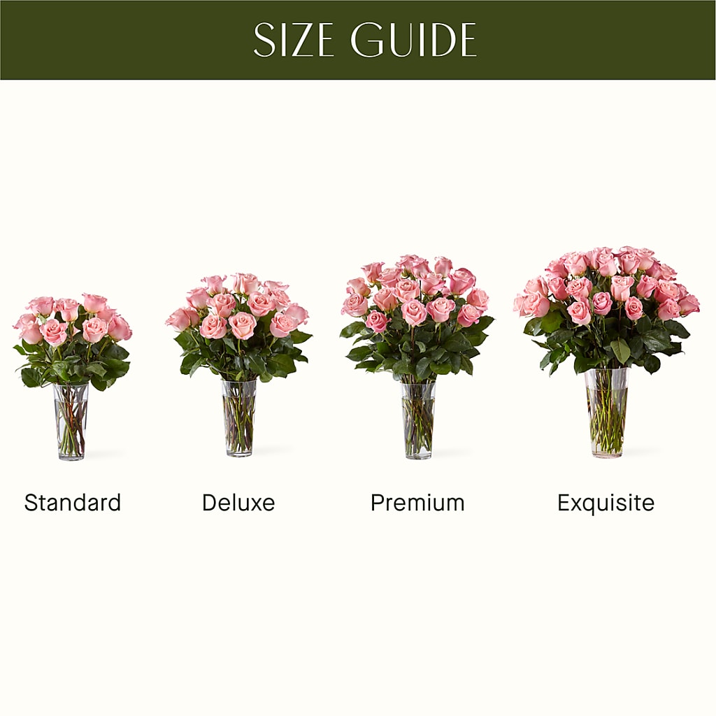 Long Stem Pink Rose Bouquet – SOBEY'S, Mississauga ON