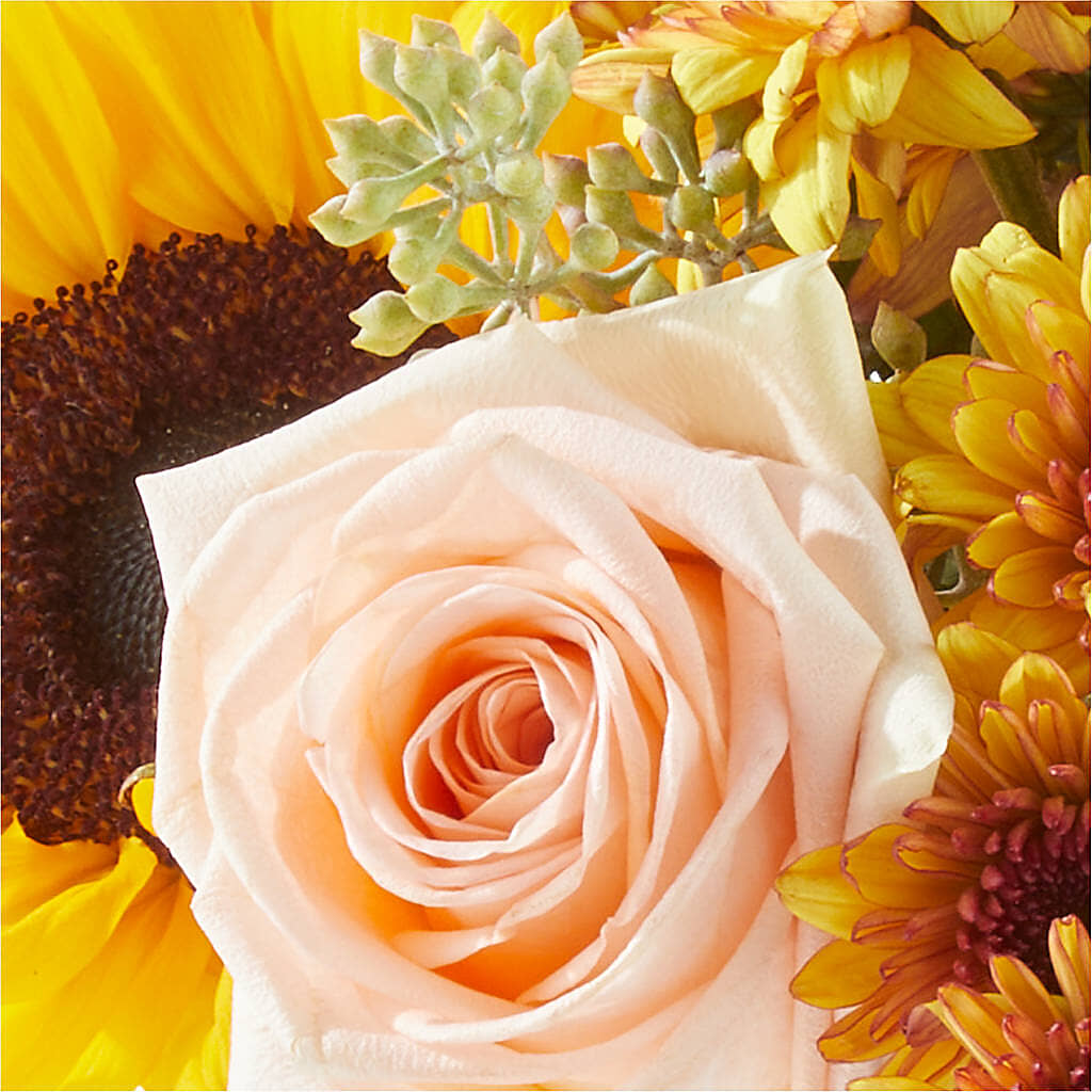 Pumpkin to Talk About Bouquet – SOBEY'S, Mississauga ON