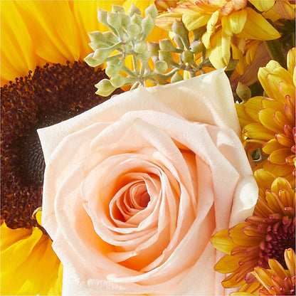 Pumpkin to Talk About Bouquet – SOBEY'S, Mississauga ON