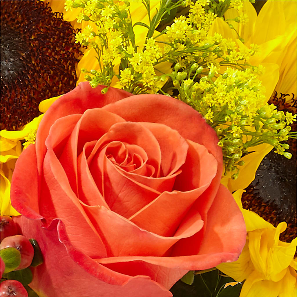 Pick of the Patch Pumpkin Bouquet – SOBEY'S, Mississauga ON