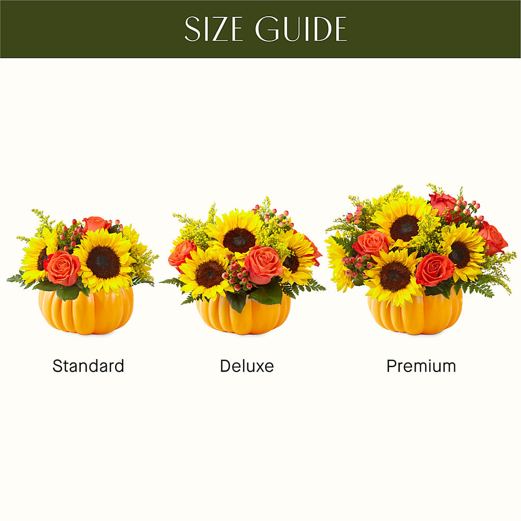 Pick of the Patch Pumpkin Bouquet – SOBEY'S, Mississauga ON