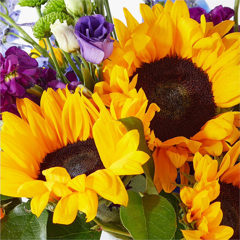 Catching Rays Bouquet – SOBEY'S, Mississauga ON