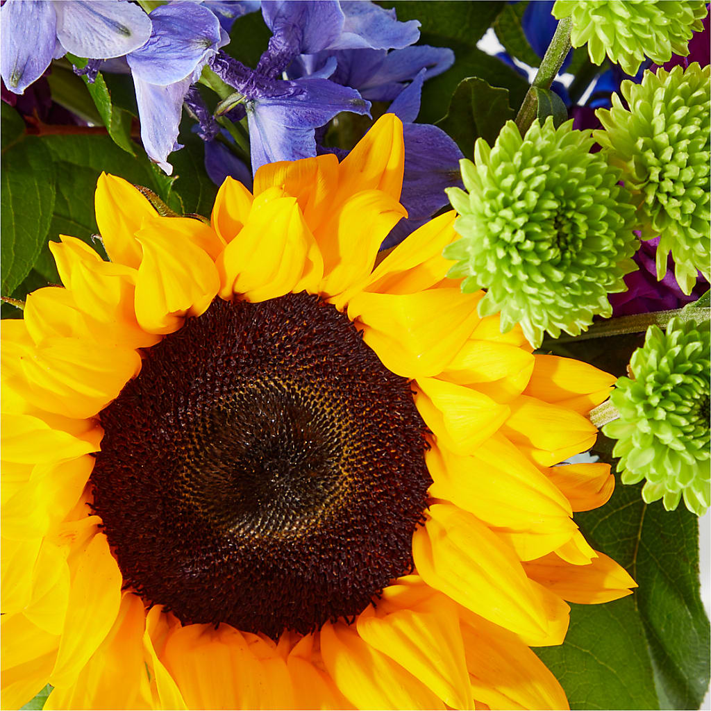 Catching Rays Bouquet – SOBEY'S, Mississauga ON