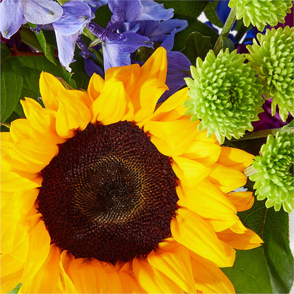 Catching Rays Bouquet – SOBEY'S, Mississauga ON
