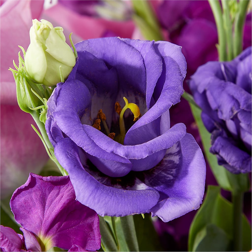 Twilight Glow Bouquet – SOBEY'S, Mississauga ON