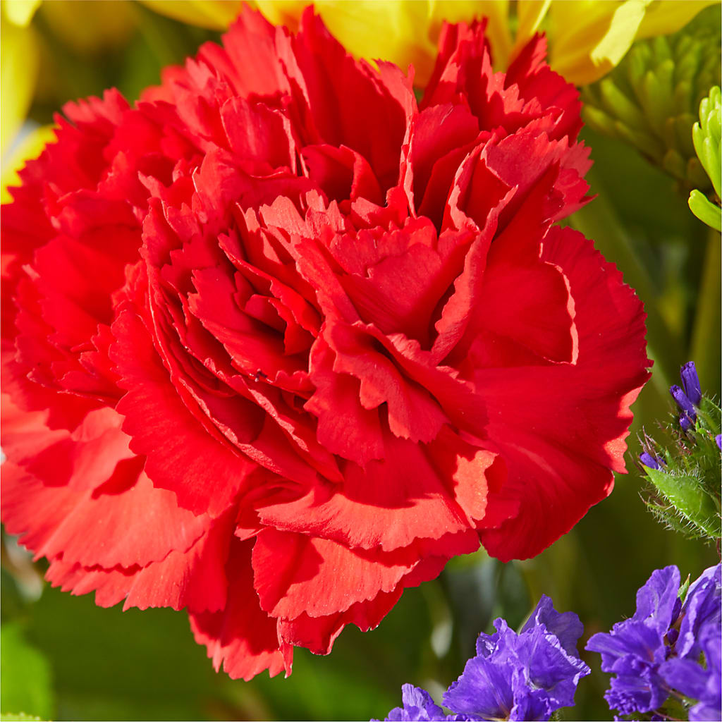 Brighter Days Bouquet – SOBEY'S, Mississauga ON