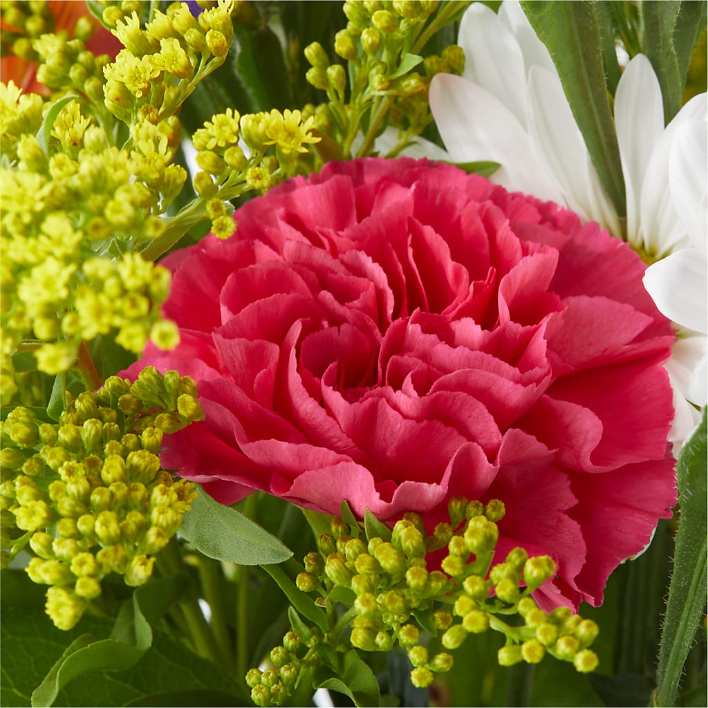Oopsie Daisy Bouquet – SOBEY'S, Mississauga ON
