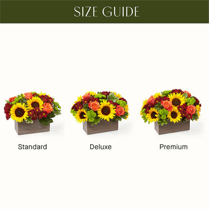 Happy Harvest Garden – SOBEY'S, Mississauga ON