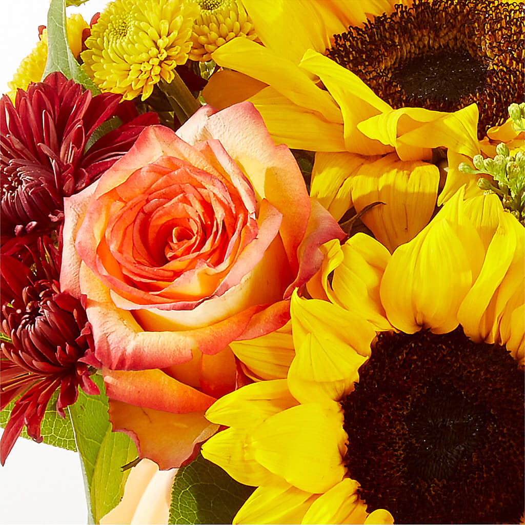 Golden Gourd Pumpkin Bouquet – SOBEY'S, Mississauga ON