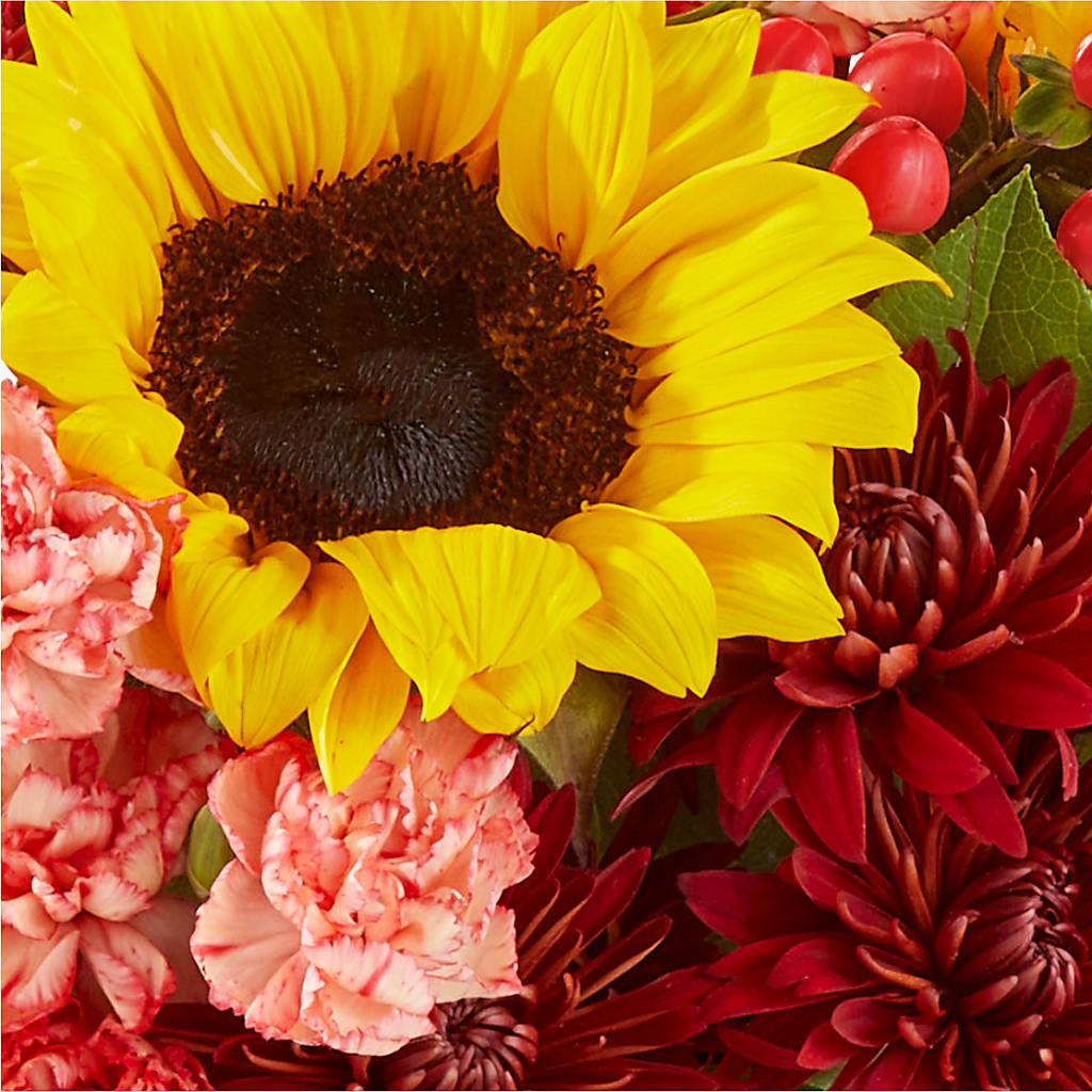 Fresh Cider Bouquet – SOBEY'S, Mississauga ON